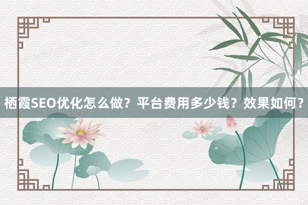 栖霞SEO优化怎么做？平台费用多少钱？效果如何？