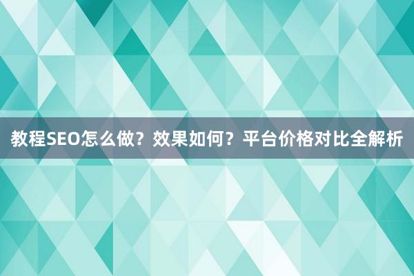 教程SEO怎么做？效果如何？平台价格对比全解析