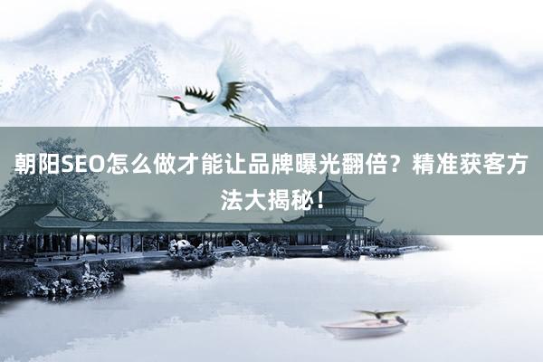 朝阳SEO怎么做才能让品牌曝光翻倍？精准获客方法大揭秘！