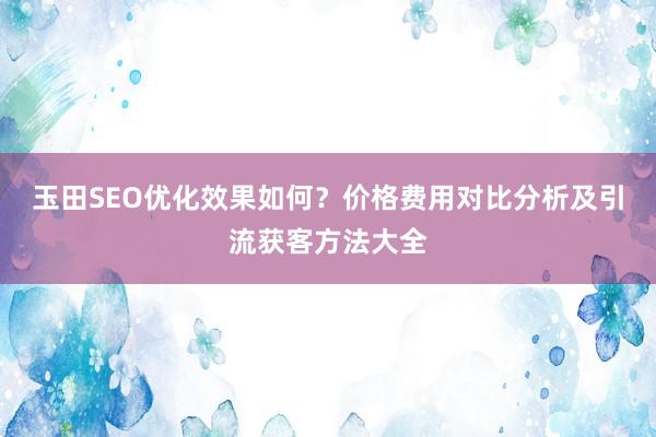 玉田SEO优化效果如何？价格费用对比分析及引流获客方法大全
