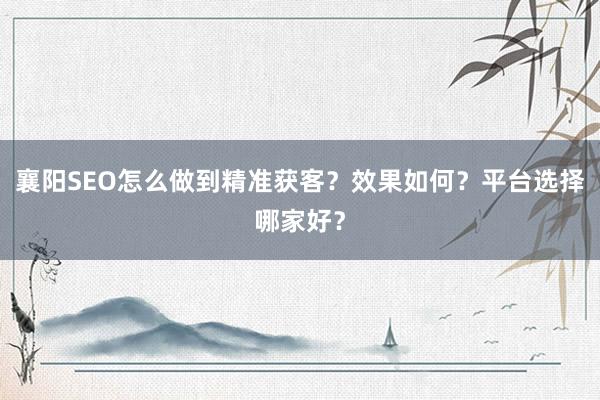 襄阳SEO怎么做到精准获客？效果如何？平台选择哪家好？