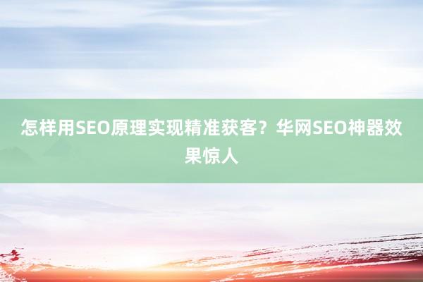 怎样用SEO原理实现精准获客？华网SEO神器效果惊人