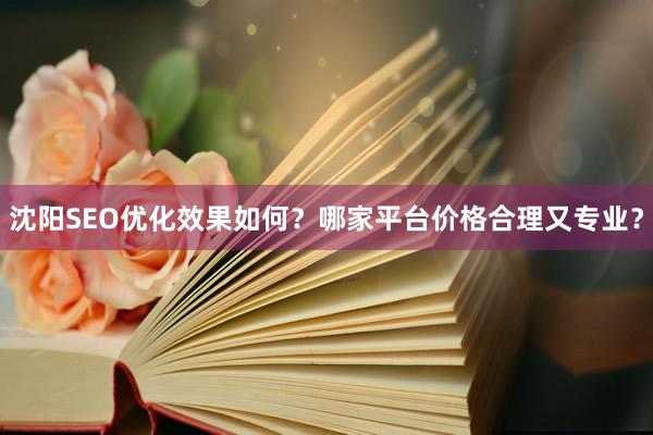 沈阳SEO优化效果如何？哪家平台价格合理又专业？