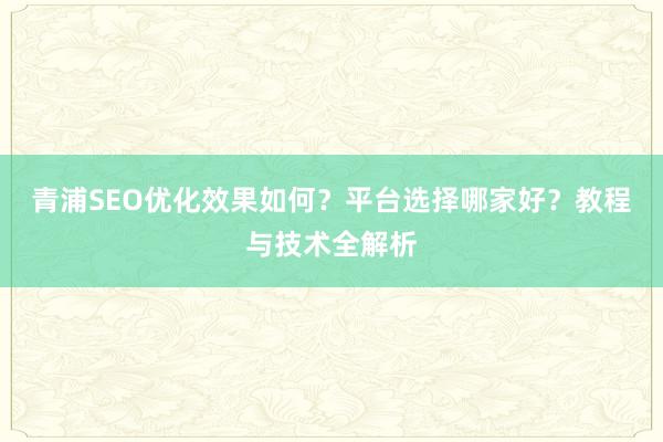 青浦SEO优化效果如何？平台选择哪家好？教程与技术全解析