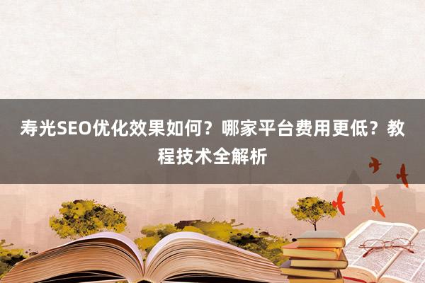 寿光SEO优化效果如何？哪家平台费用更低？教程技术全解析