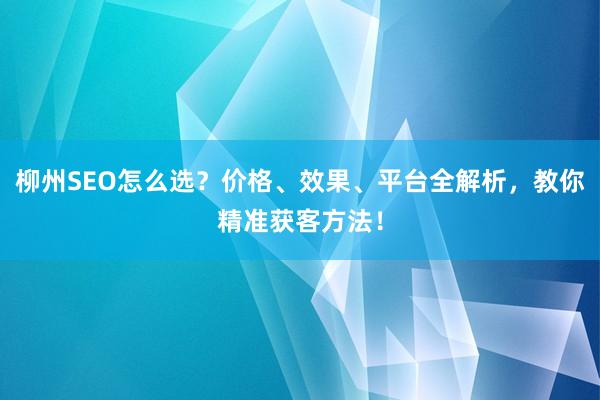 柳州SEO怎么选？价格、效果、平台全解析，教你精准获客方法！