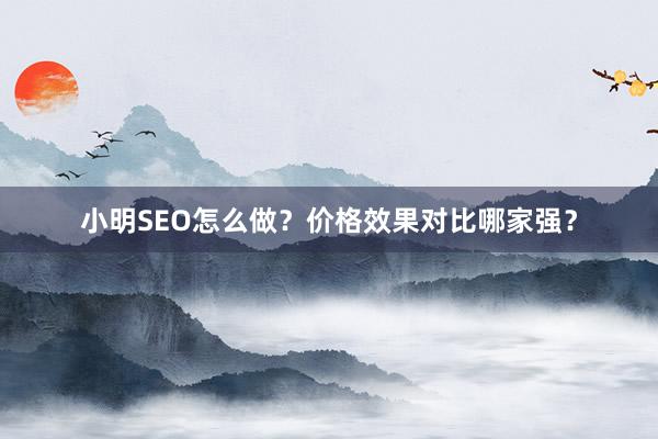 小明SEO怎么做？价格效果对比哪家强？