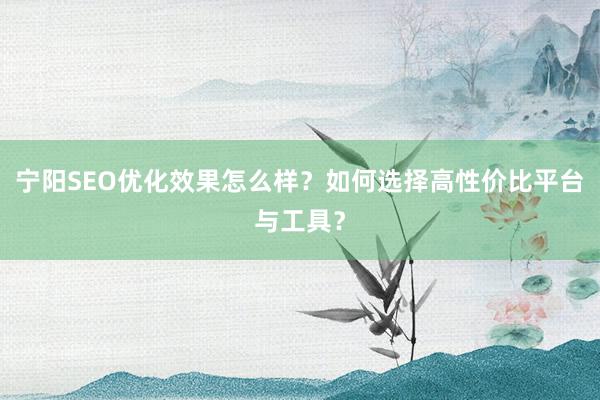 宁阳SEO优化效果怎么样？如何选择高性价比平台与工具？