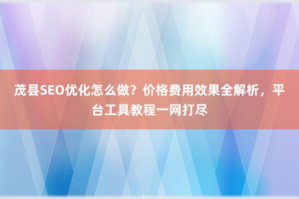 茂县SEO优化怎么做？价格费用效果全解析，平台工具教程一网打尽
