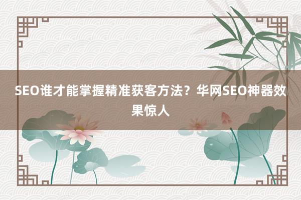 SEO谁才能掌握精准获客方法？华网SEO神器效果惊人