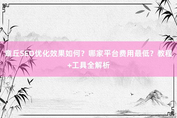 章丘SEO优化效果如何？哪家平台费用最低？教程+工具全解析