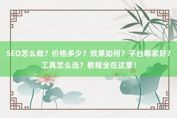 SEO怎么做？价格多少？效果如何？平台哪家好？工具怎么选？教程全在这里！