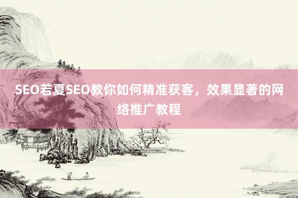 SEO若夏SEO教你如何精准获客，效果显著的网络推广教程