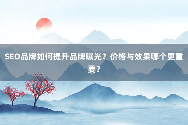 SEO品牌如何提升品牌曝光？价格与效果哪个更重要？