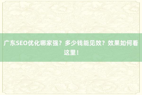 广东SEO优化哪家强？多少钱能见效？效果如何看这里！