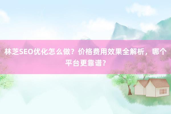 林芝SEO优化怎么做？价格费用效果全解析，哪个平台更靠谱？