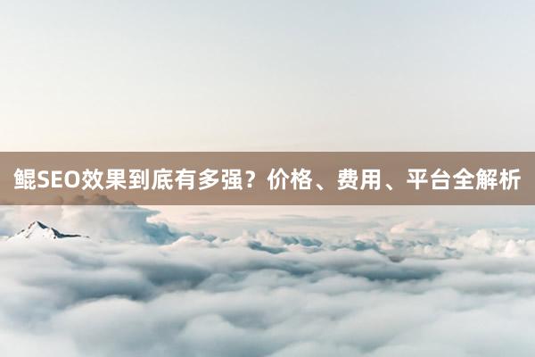 鲲SEO效果到底有多强？价格、费用、平台全解析