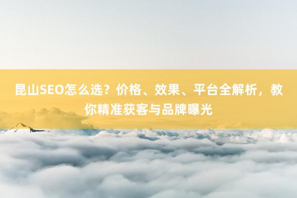 昆山SEO怎么选？价格、效果、平台全解析，教你精准获客与品牌曝光