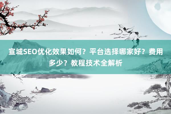 宣城SEO优化效果如何？平台选择哪家好？费用多少？教程技术全解析