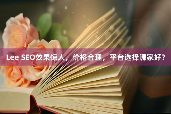 Lee SEO效果惊人，价格合理，平台选择哪家好？