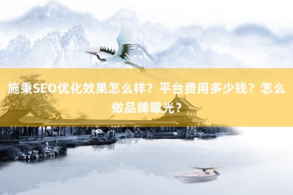 施秉SEO优化效果怎么样？平台费用多少钱？怎么做品牌曝光？