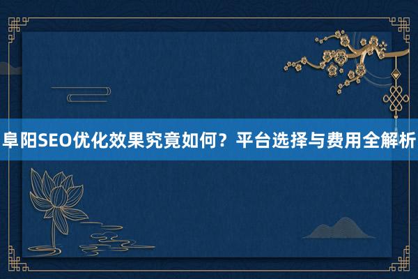 阜阳SEO优化效果究竟如何？平台选择与费用全解析
