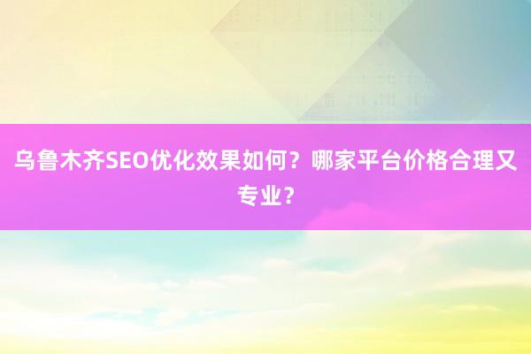 乌鲁木齐SEO优化效果如何？哪家平台价格合理又专业？