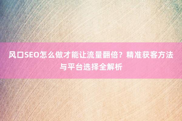 风口SEO怎么做才能让流量翻倍？精准获客方法与平台选择全解析