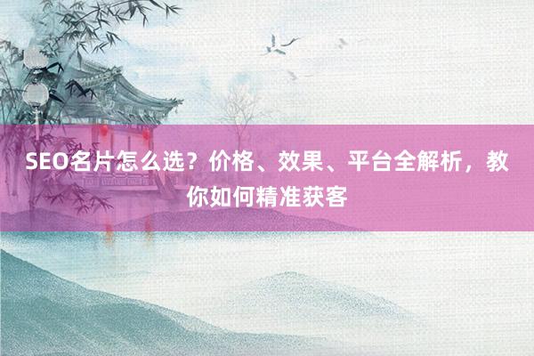 SEO名片怎么选？价格、效果、平台全解析，教你如何精准获客