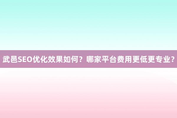 武邑SEO优化效果如何？哪家平台费用更低更专业？