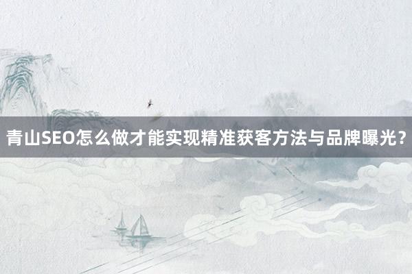 青山SEO怎么做才能实现精准获客方法与品牌曝光？