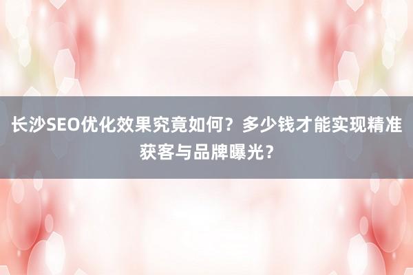 长沙SEO优化效果究竟如何？多少钱才能实现精准获客与品牌曝光？
