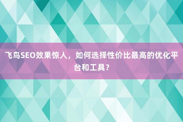 飞鸟SEO效果惊人，如何选择性价比最高的优化平台和工具？