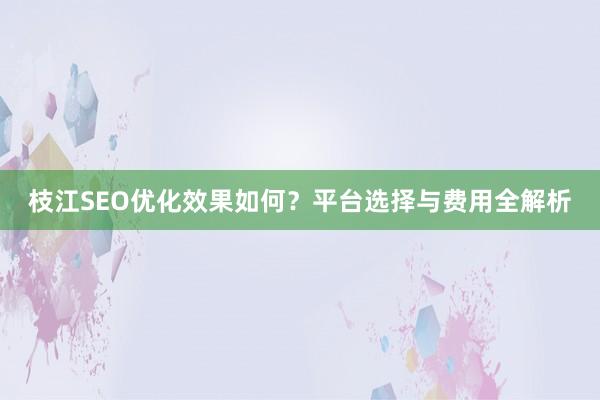 枝江SEO优化效果如何？平台选择与费用全解析