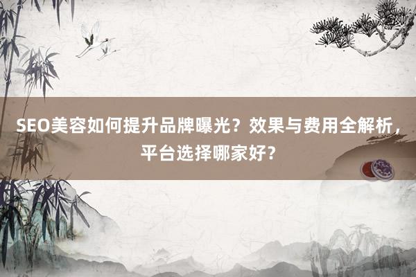 SEO美容如何提升品牌曝光？效果与费用全解析，平台选择哪家好？