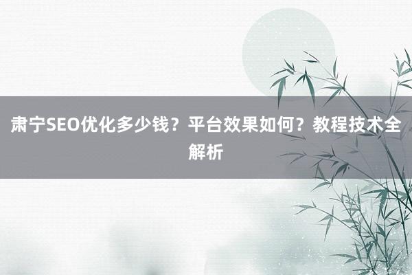 肃宁SEO优化多少钱？平台效果如何？教程技术全解析