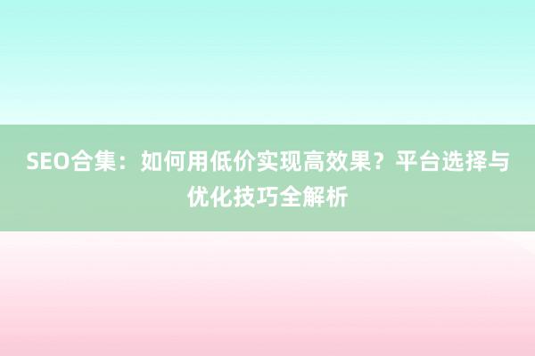 SEO合集：如何用低价实现高效果？平台选择与优化技巧全解析