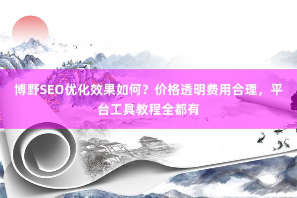 博野SEO优化效果如何？价格透明费用合理，平台工具教程全都有