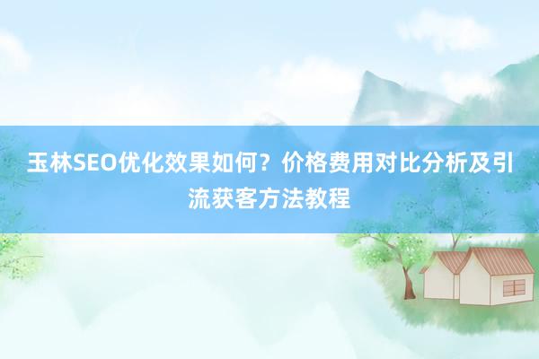 玉林SEO优化效果如何？价格费用对比分析及引流获客方法教程