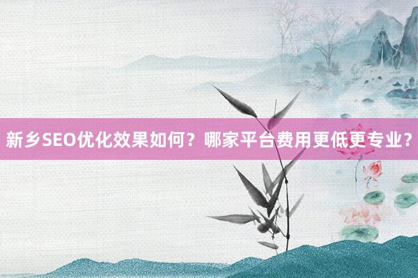 新乡SEO优化效果如何？哪家平台费用更低更专业？