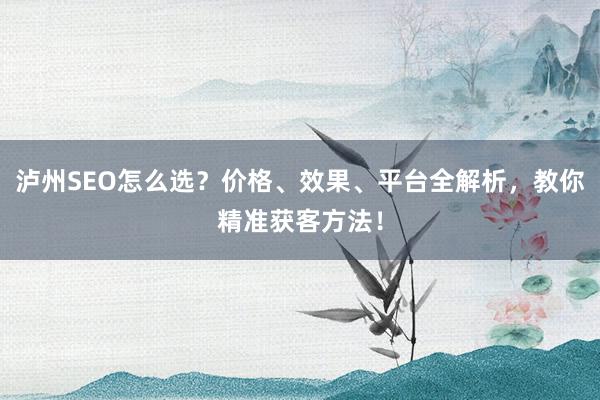 泸州SEO怎么选？价格、效果、平台全解析，教你精准获客方法！