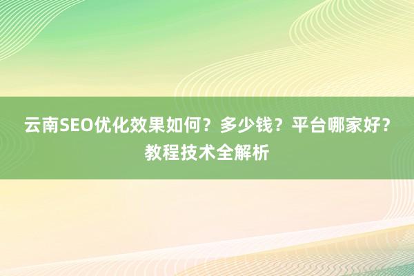 云南SEO优化效果如何？多少钱？平台哪家好？教程技术全解析